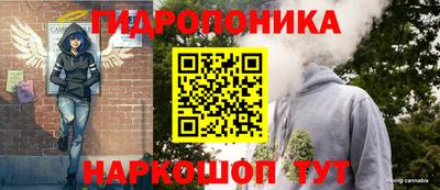 стафф Краснокаменск