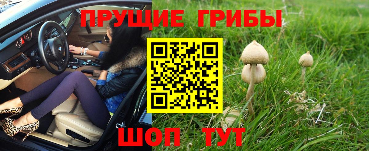 Псилоцибиновые грибы Psilocybe  Вход с VPN  Калач-на-Дону 